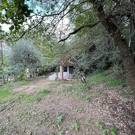 Eco-chic Retreat: Countryside Oasis Near Florence Chalet *