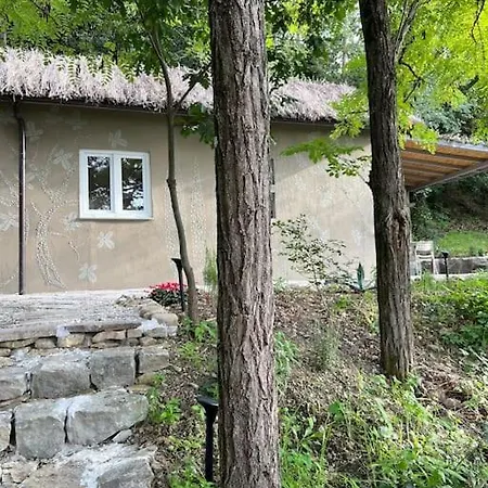 Chalet Eco-chic Retreat: Countryside Oasis Near Florence Pozzolatico